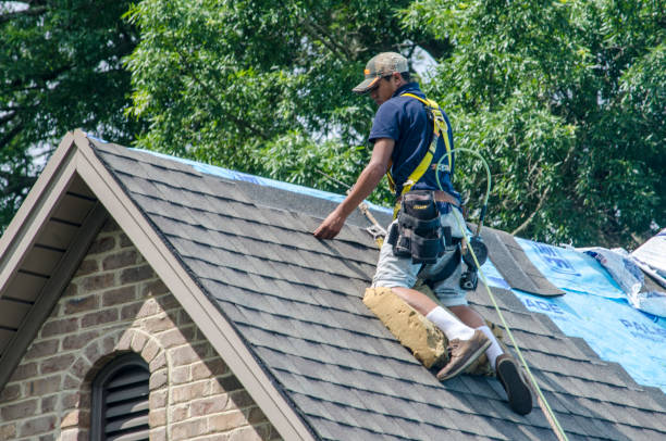 Best Shingle Roofing Installation  in Lincoln, NE